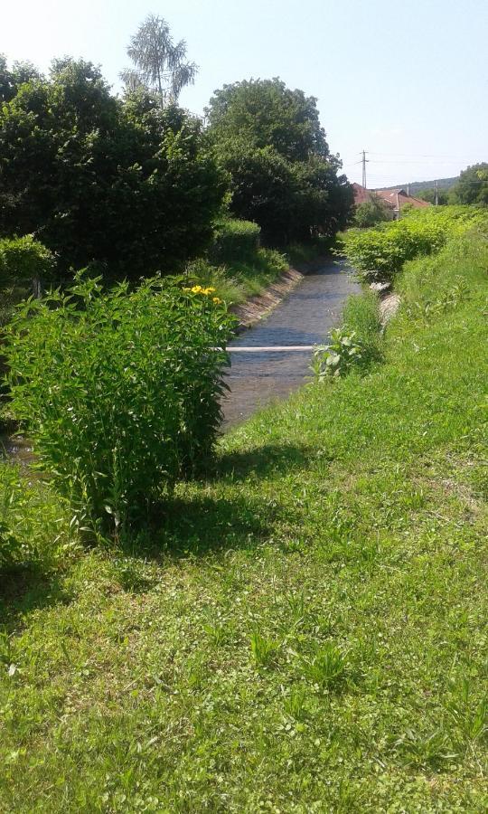 Riverside Apartman**** Miszkolc Zewnętrze zdjęcie