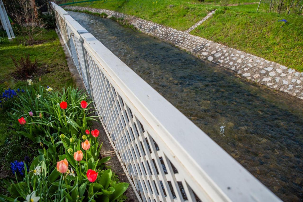 Riverside Apartman**** Miszkolc Zewnętrze zdjęcie