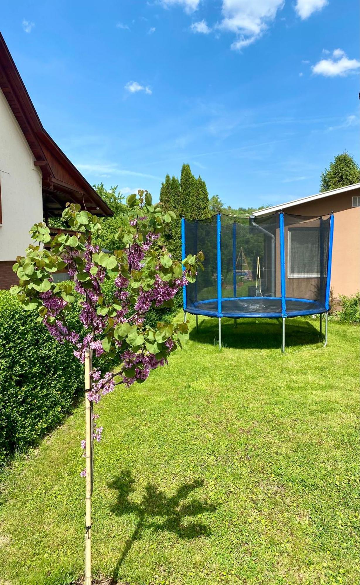 Riverside Apartman**** Miszkolc Zewnętrze zdjęcie